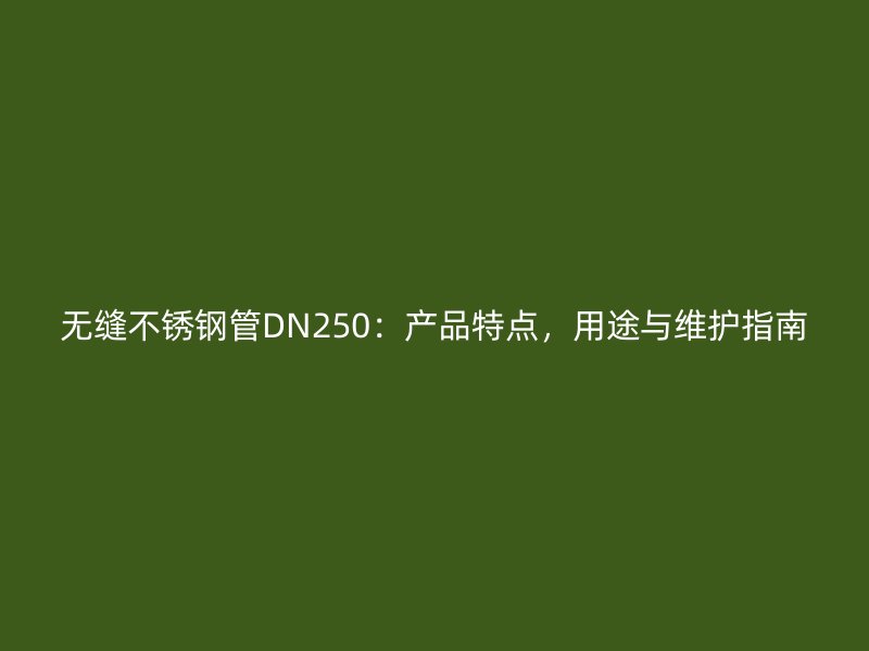 无缝荣耀足球官网管DN250：产品特点，用途与维护指南