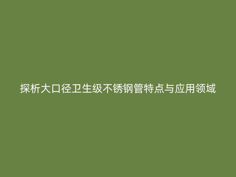 探析大口径卫生级荣耀足球官网管特点与应用领域