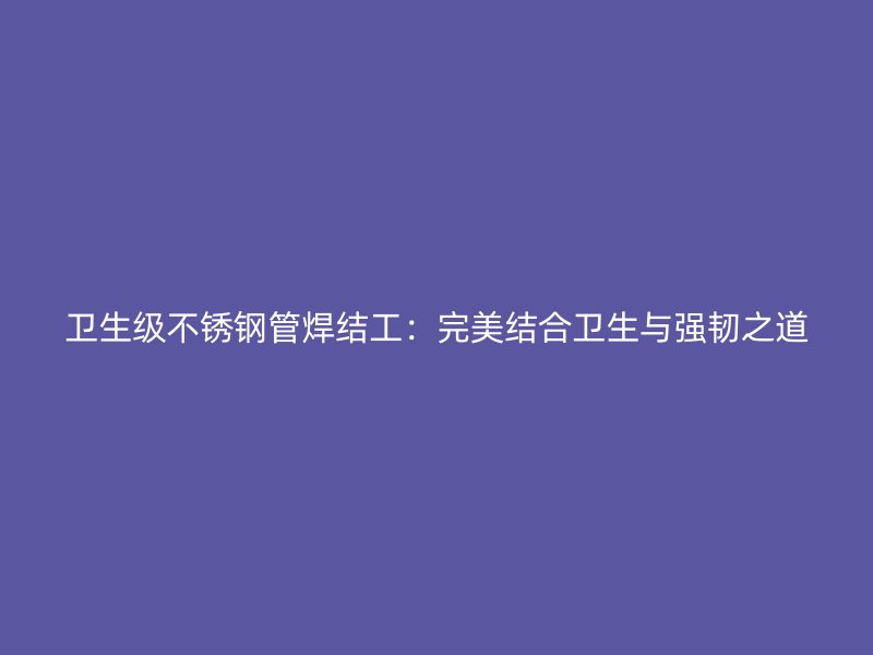 卫生级荣耀足球官网管焊结工：完美结合卫生与强韧之道