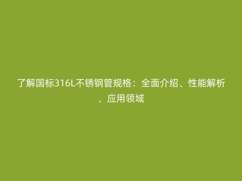 了解国标316L荣耀足球官网管规格：全面介绍、性能解析、应用领域
